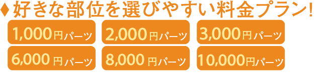 好きな部位を選びやすい料金プラン！ 1,000円パーツ2,000円パーツ3,000円パーツ6,000円パーツ8,000円パーツ10,000円パーツセットプラン