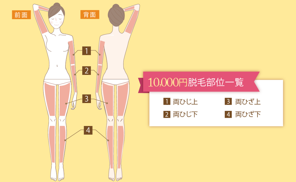 10,000円プラン脱毛部位一覧